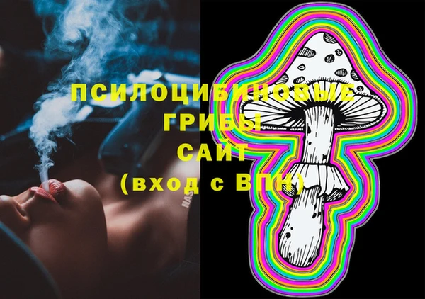 2c-b Армянск