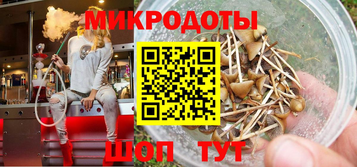 Саров  Псилоцибиновые грибы MAGIC MUSHROOMS  Вход с VPN 