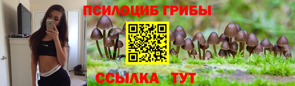 Псилоцибиновые грибы Psilocybe Саров